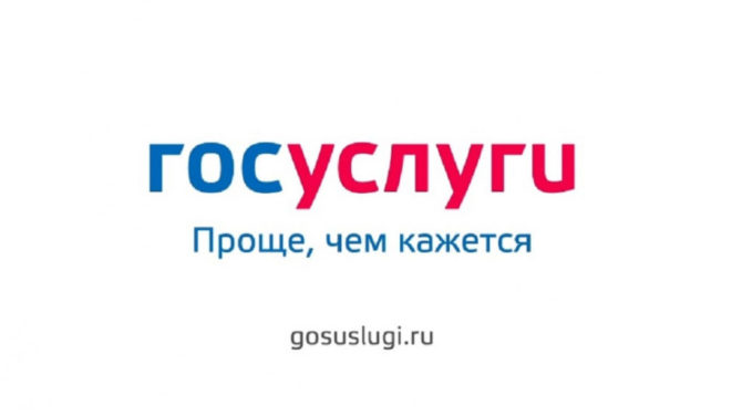 Жители Пермского края могут получить в электронном виде более 100 услуг